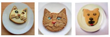 IMG 9187 katzenmuster